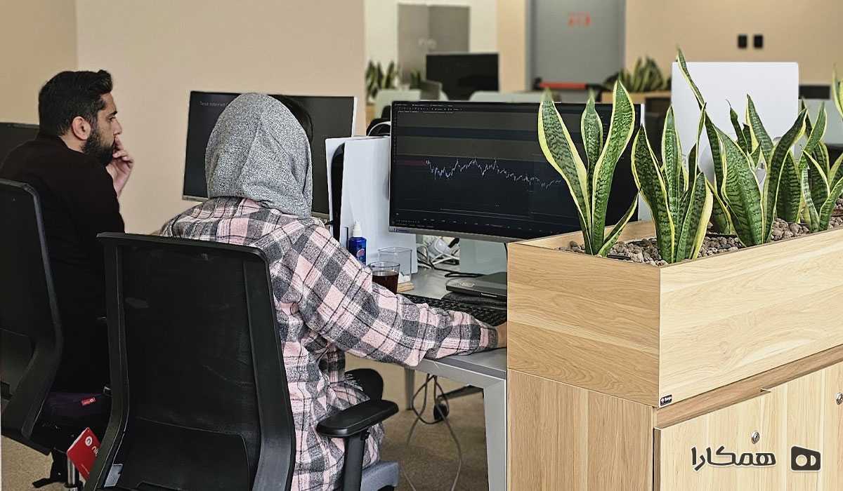 فضای کار اشتراکی برنامه نویسان